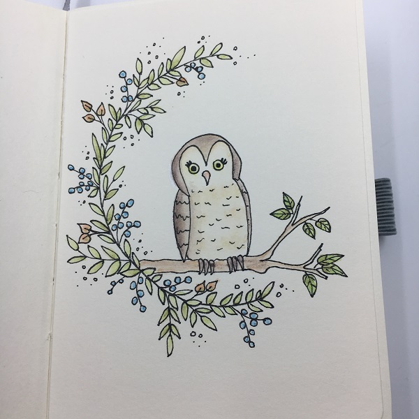 Owl